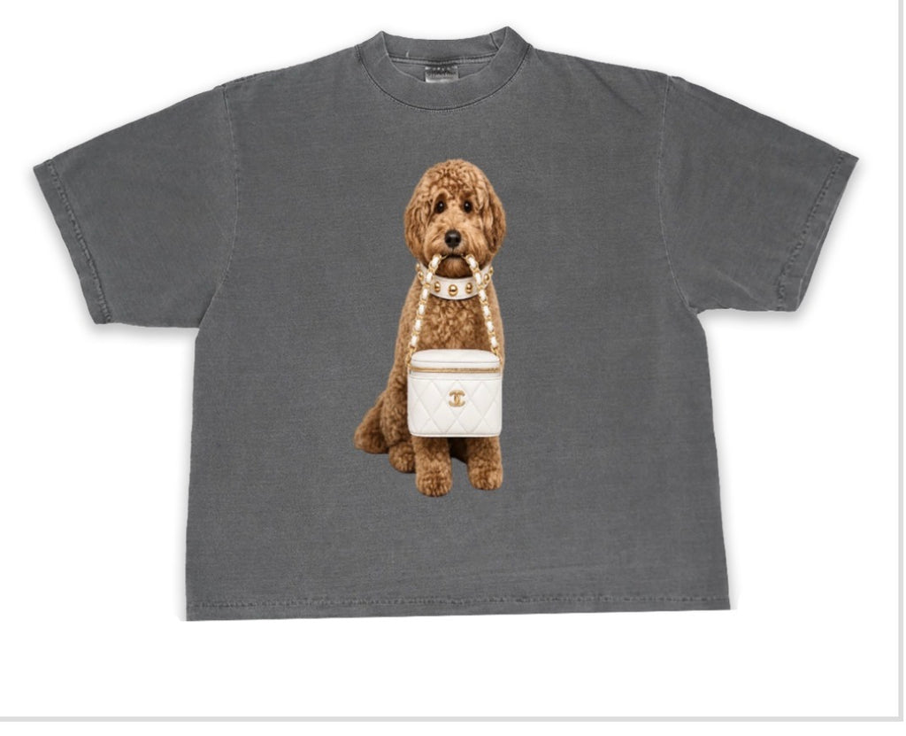 Cavapoo tee white Chanel bag