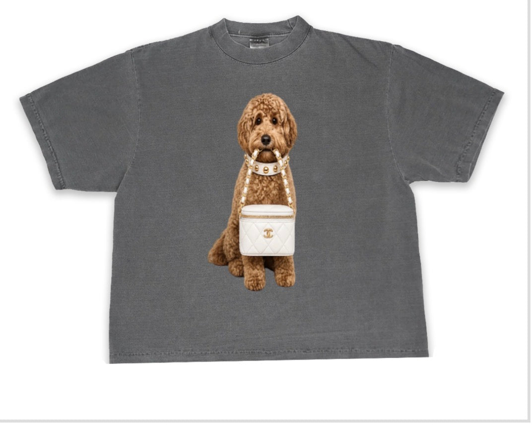 Cavapoo tee white Chanel bag